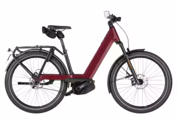 Riese & Müller Nevo5 pinion HS