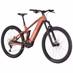 Bergamont Revox