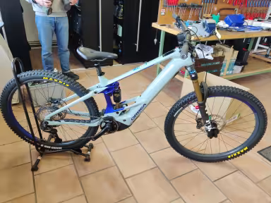 Orbea Wild Team