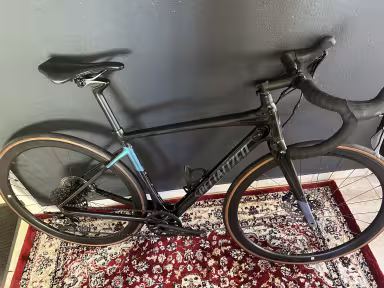 SPECIALIZED Diverge Expert Carbon