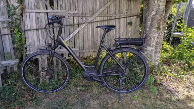 Raleigh Stoker B9