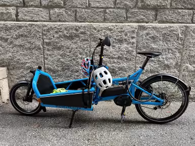 Riese & Müller Load 60 touring HS