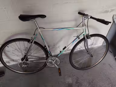 Ruegger City Bike
