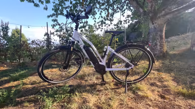 LAPIERRE Overvolt Trekking 6.4