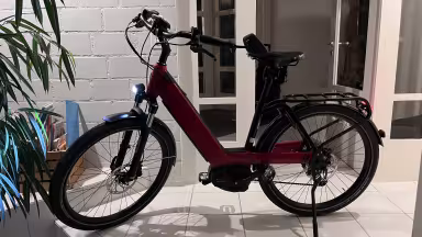 Riese & Müller Nevo GT vario