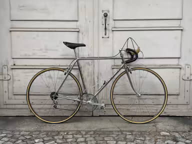 OLMO Cromovelato Panto Competition