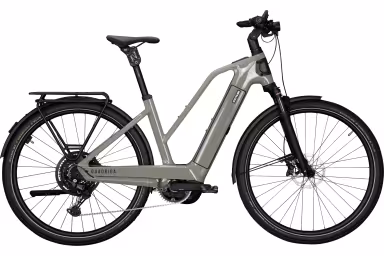 Kettler Alu-Rad Quadriga CX10