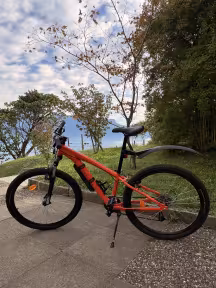 Decathlon Mtb