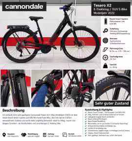 Cannondale Tesoro Neo X 2
