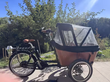 Babboe Flow Mountain 500Wh
