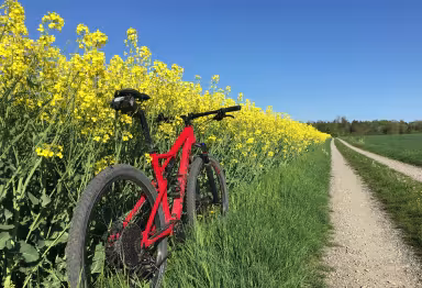 SPECIALIZED Epic Comp Carbon