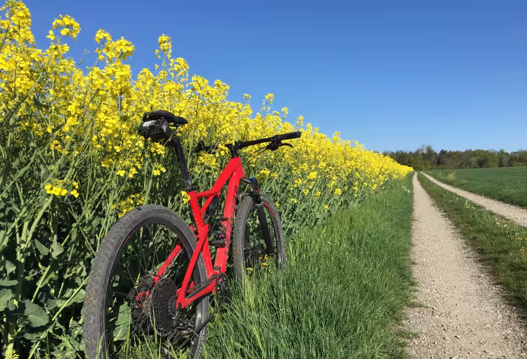 SPECIALIZED Epic Comp Carbon