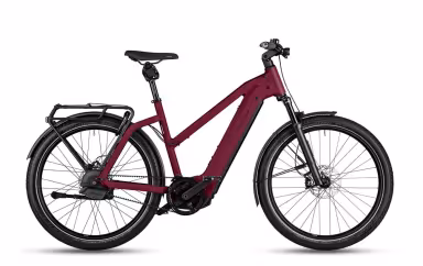 Riese & Müller Charger Mixte GT vario