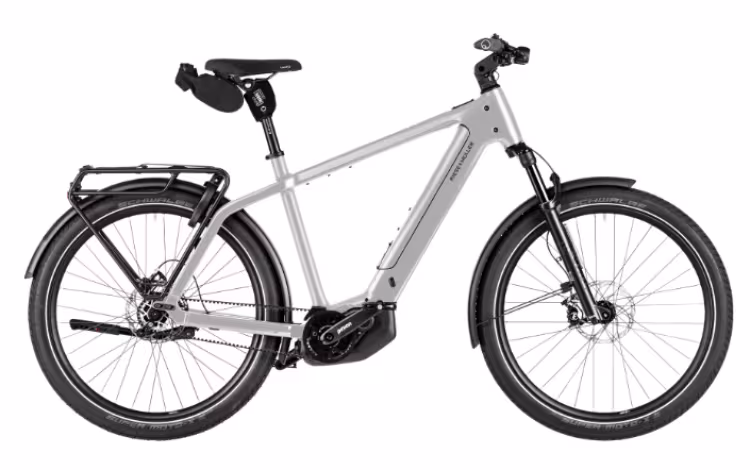 Riese & Müller Charger5 pinion