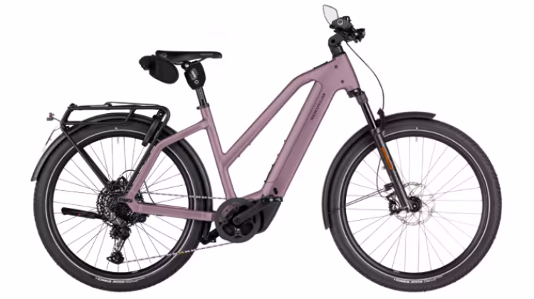 Riese & Müller Charger5 Mixte Touring Hs