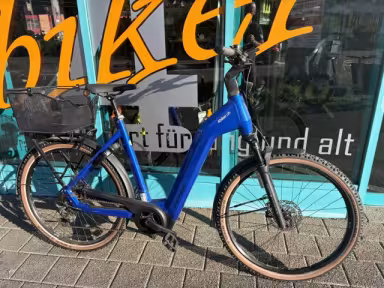 Flyer Gotour 7.12 XC ABS