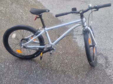 Early Rider Belter 20 Auto