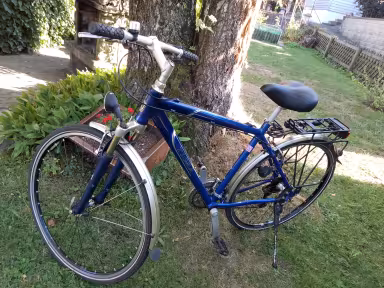 Tigra City Bike