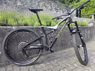 SPECIALIZED Stumpjumper Expert Carbon 29