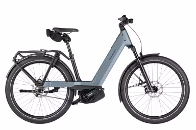 Riese & Müller Nevo5 pinion
