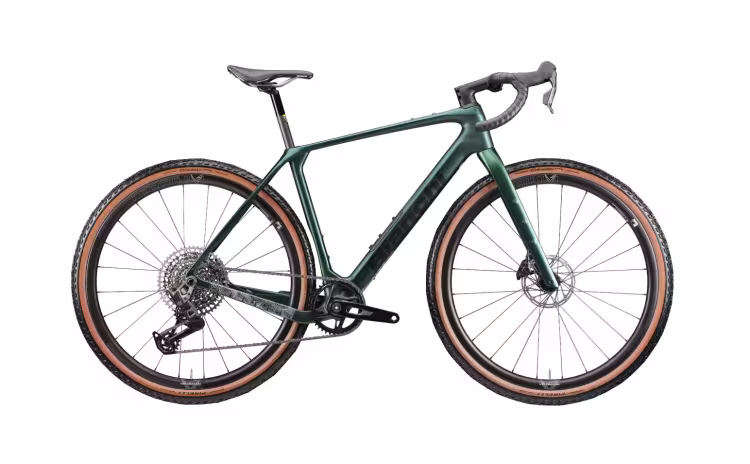 Bianchi Arcadex Pro
