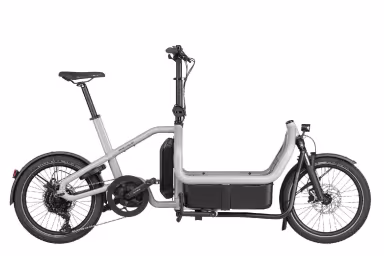 Riese & Müller E-Bike Cargo Carrie Touring