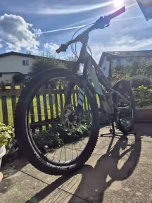 Wheeler Passera 13