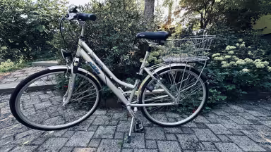 KTM Life Lite