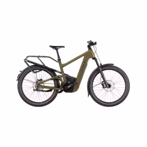 Riese & Müller E-Bike Delite5 Gt Pinion