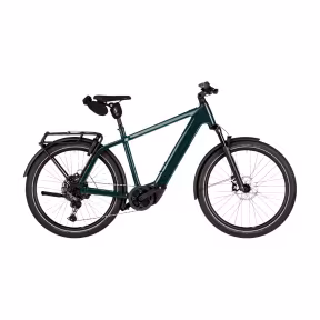 Riese & Müller E-Bike