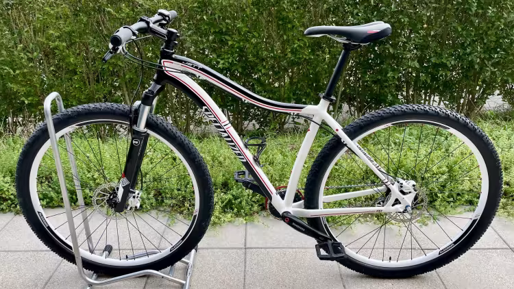SPECIALIZED Jett Expert 17" Frame