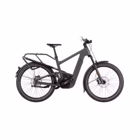 Riese & Müller E-Bike Delite5 Gt Pinion