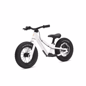 Kids Ride Shotgun Dirt Hero 12