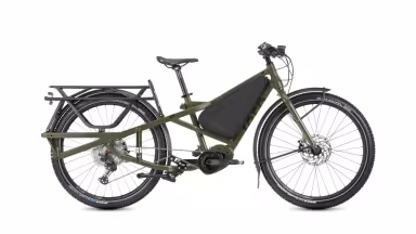 TERN Orox S12 29'