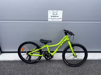 Naloo Chameleon , Light Green