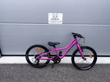 Naloo Chameleon Rose