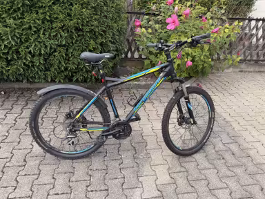 Bergamont Vitox 7.3