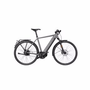 Riese & Müller E-Bike Roadster4 Vario 45