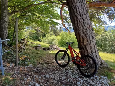 SPECIALIZED Turbo Levo 4 Alu