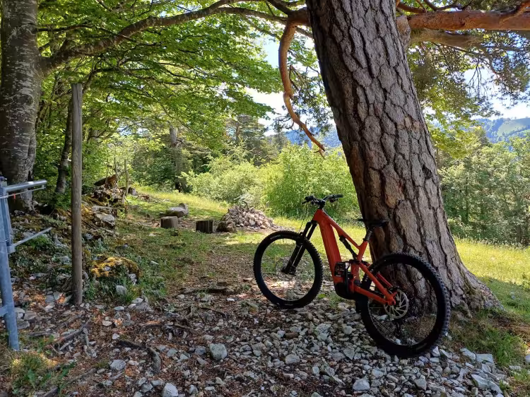 SPECIALIZED Turbo Levo 4 Alu