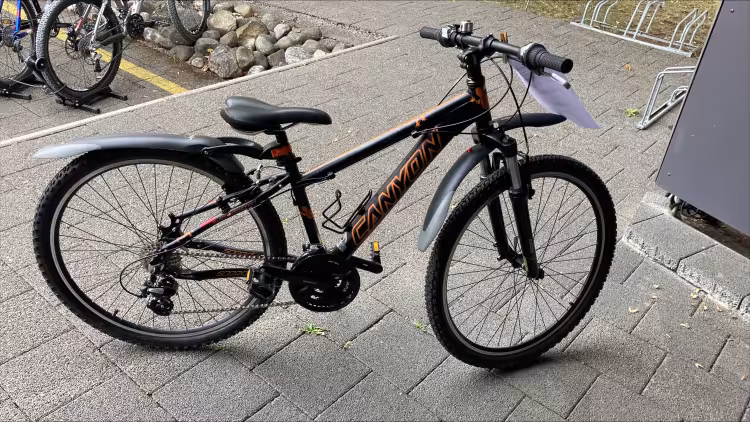 Canyon Speed 90