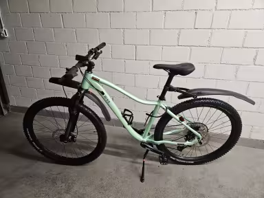 Bixs Bx Mariposa 100 Green