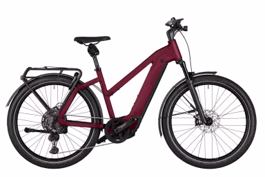 Riese & Müller Charger 3
