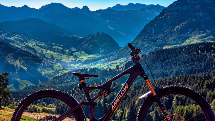 AMFLOW Pl Carbon Pro 800 Wh