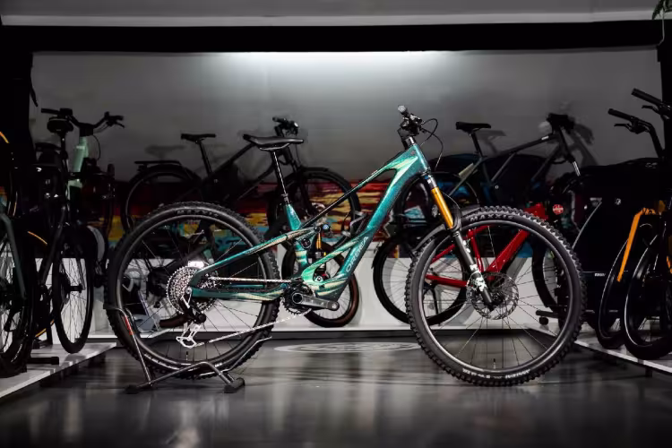 Orbea Wild Lt Ltd Rs