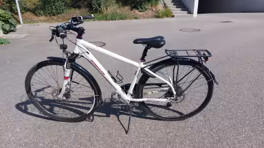 Wheeler Ecorider 2.1 Lady 48 Cm