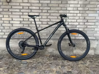 Raymon Nayta Comp