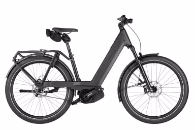 Riese & Müller Nevo5 pinion