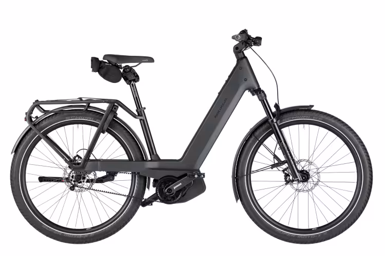 Riese & Müller Nevo5 pinion