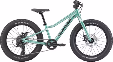 Cannondale Kids Trail Plus 20